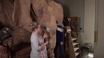 The creation of the elephant puppet in Jumbo