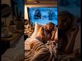 Next to the Warm Stove, Winter Night Healing Meditation to Remove Anxiety  #Shorts #Viral #Global