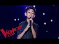 Calogero  les feux dartifice  ilan  the voice kids france 2020  blinds auditions