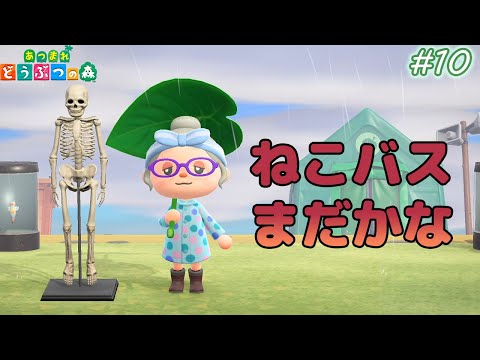 あつまれどうぶつの森 あつ森の効率の良い序盤の進め方と大事なポイントを徹底解説