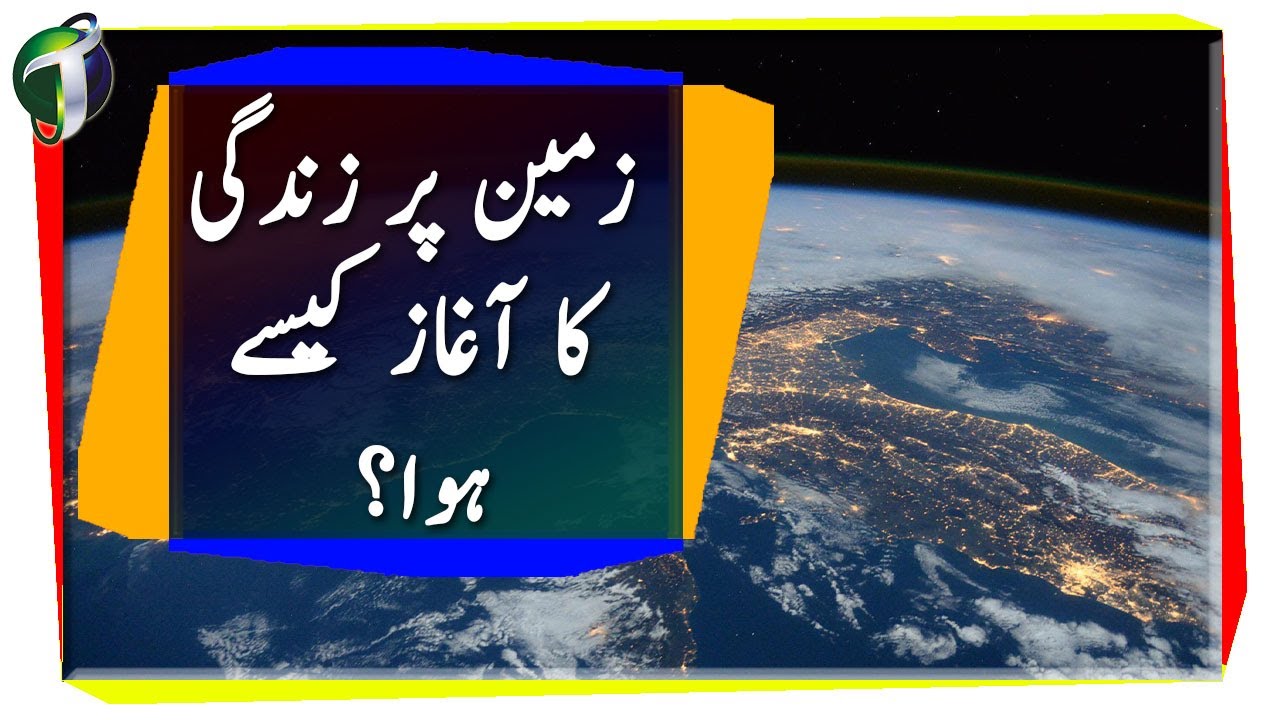 Origin Of Life On Earth Urdu Hindi