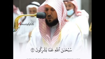 حالات واتس اب/(هو الله الذي لا اله الا هو عالم الغيب والشهادة) تلاوة مبكيه #الشيخ_ماهر_المعيقلي