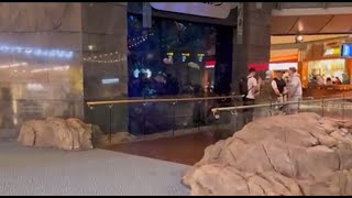 Vancouver International Airport Walkround Views Sculptures Aquarium Hologram Atrium