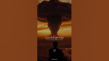 تلاوة جميلة يخشع لها القلب 🤎. #quran #قران_كريم #ياسر_الدوسري #تلاوة_خاشعة