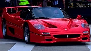 Ferraris Leave Event! | F40, F50, Laferrari, 288 GTO, and more!