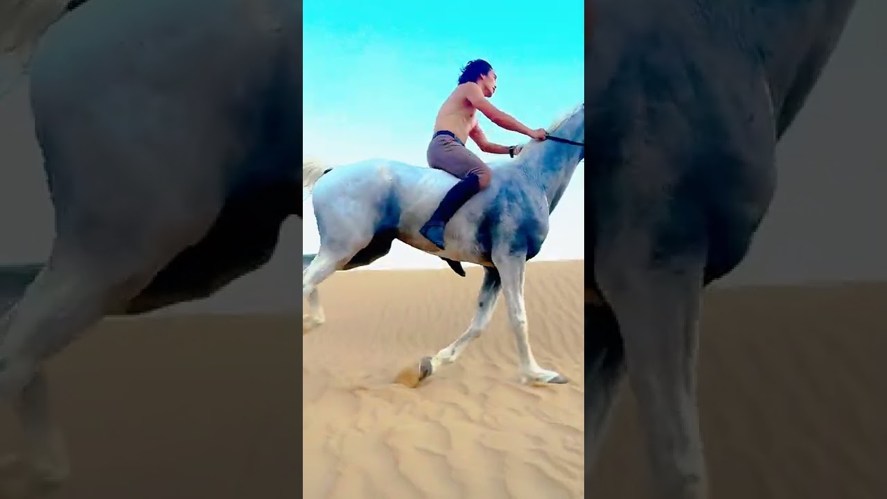 Horse riding, bareback