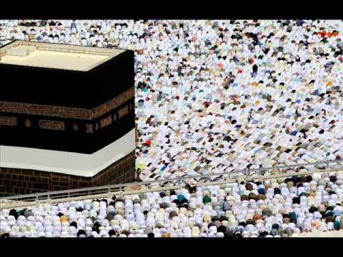 ابتهال ياصاحب الهم عمر عبدالهادي 