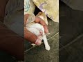 #funny #pets #catcomedy #catvideos #cute #phonkagressive #hiphopbeats #barbie