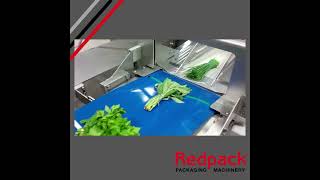 Redpack NTS Showing Its Flow Wrapping Versatility