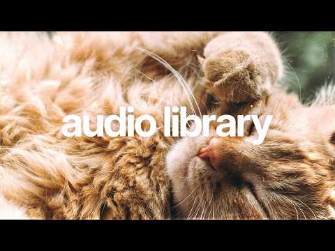 Relaxing Lo-fi Sleep Music for Night Routines & Vlogs 🌙 (No Copyright) | Snoozy Beats - Time For Bed
