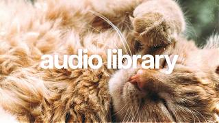 Relaxing Lo-fi Sleep Music for Night Routines & Vlogs 🌙 (No Copyright) | Snoozy Beats - Time For Bed