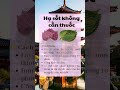 Deep Sleep with Peaceful Piano Music: Binh Yen Piano for Relaxation and Better Rest