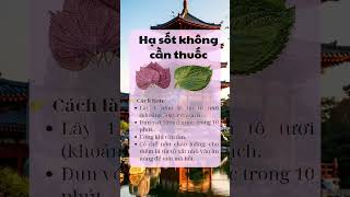 Deep Sleep with Peaceful Piano Music: Binh Yen Piano for Relaxation and Better Rest