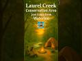 KWC’s Best Waterfront Camping Spot – Book It Now! #campingnearkwc #laurelcreek #waterloo