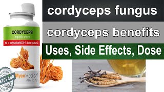 Cordyceps - Cordyceps Fungus - Cordyceps Benefits, Cordyceps Uses In Hindi,