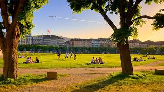 Summer Vibes In Zurich City 🇨🇭 Relaxation & Golden Sun After A Warm Day ☀️🍃 screenshot 4