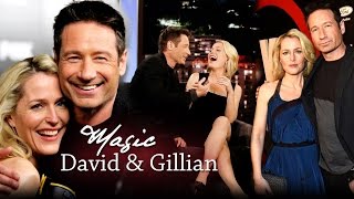 David & Gillian || Magic