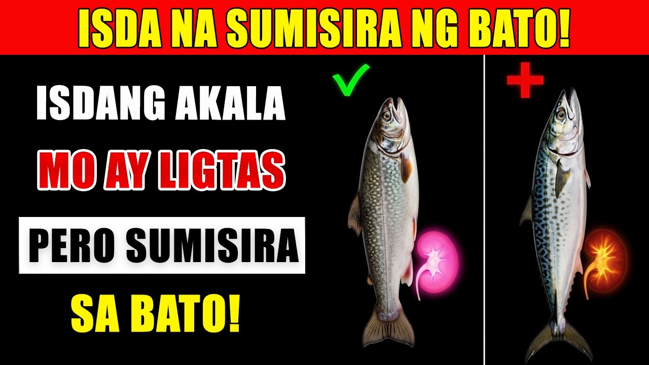 MGA ISDA NA BAWAL SA KIDNEY: Iwasan ang mga Ito Para Hindi Tumaas ang Creatinine!