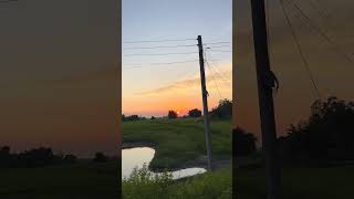 this is the gau ki khubsarti amazing nature #nature #villagelife #village #morning #sunrise