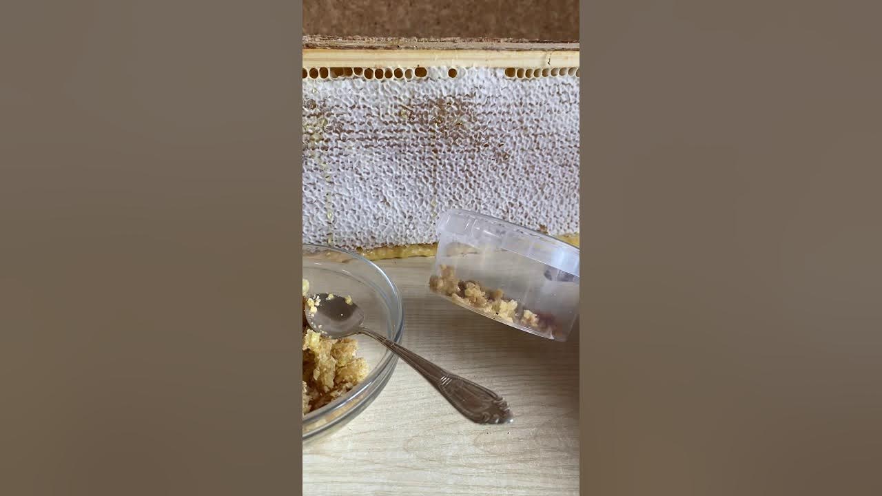 Как добывают воск. Забрус. воск забрус. воск желтый забрус. как перетопить забрус.
