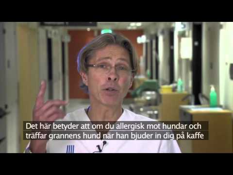 Video: Effektivitet Och Säkerhet För Två Ayurvediska Dosformer För Allergisk Rinit: Studieprotokoll För En öppen Etikett Randomiserad Kontrollerad Studie