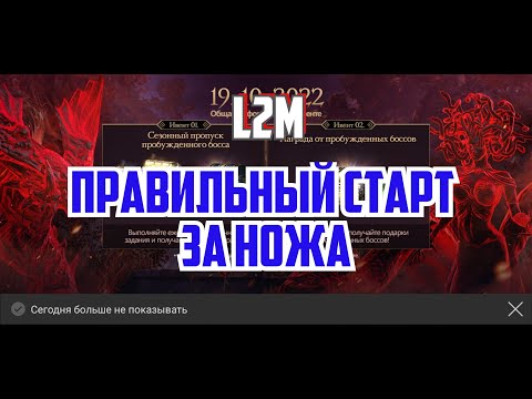 Lineage 2m - Правильный старт за ножа