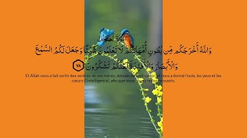 سورة النحل آية 78 abonnez vous svp merci #قرآن #quran #قران_كريم