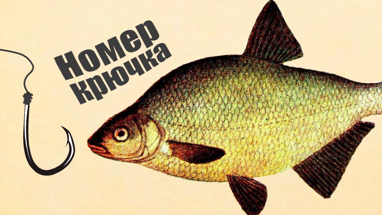 Самый уловистый номер крючка на Леща! Лещ от него безума
