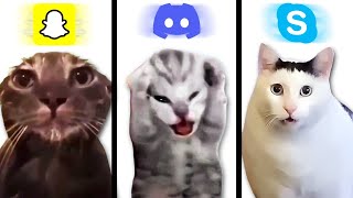 Meme Cats: Social Media Ringtones