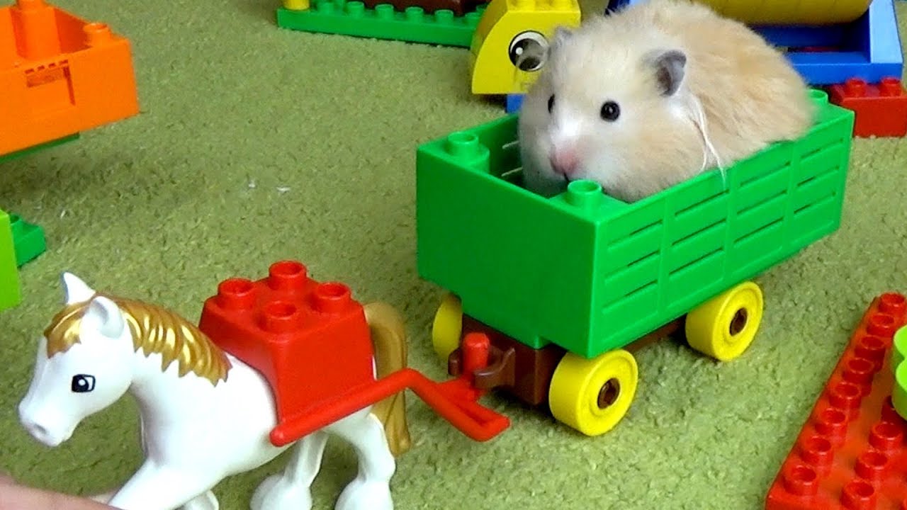 lego hamster