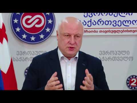 ეს შეიძლება იყოს ისტორიული გადაწყვეტილება - წერეთელი ევროსასამართლოს  გადაწყვეტილებაზე