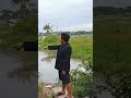 kampanye ke binatang #comedy #komedikuncir #komedikuncir #fypシ゚viral #funny #hiburanrakya #hiburan