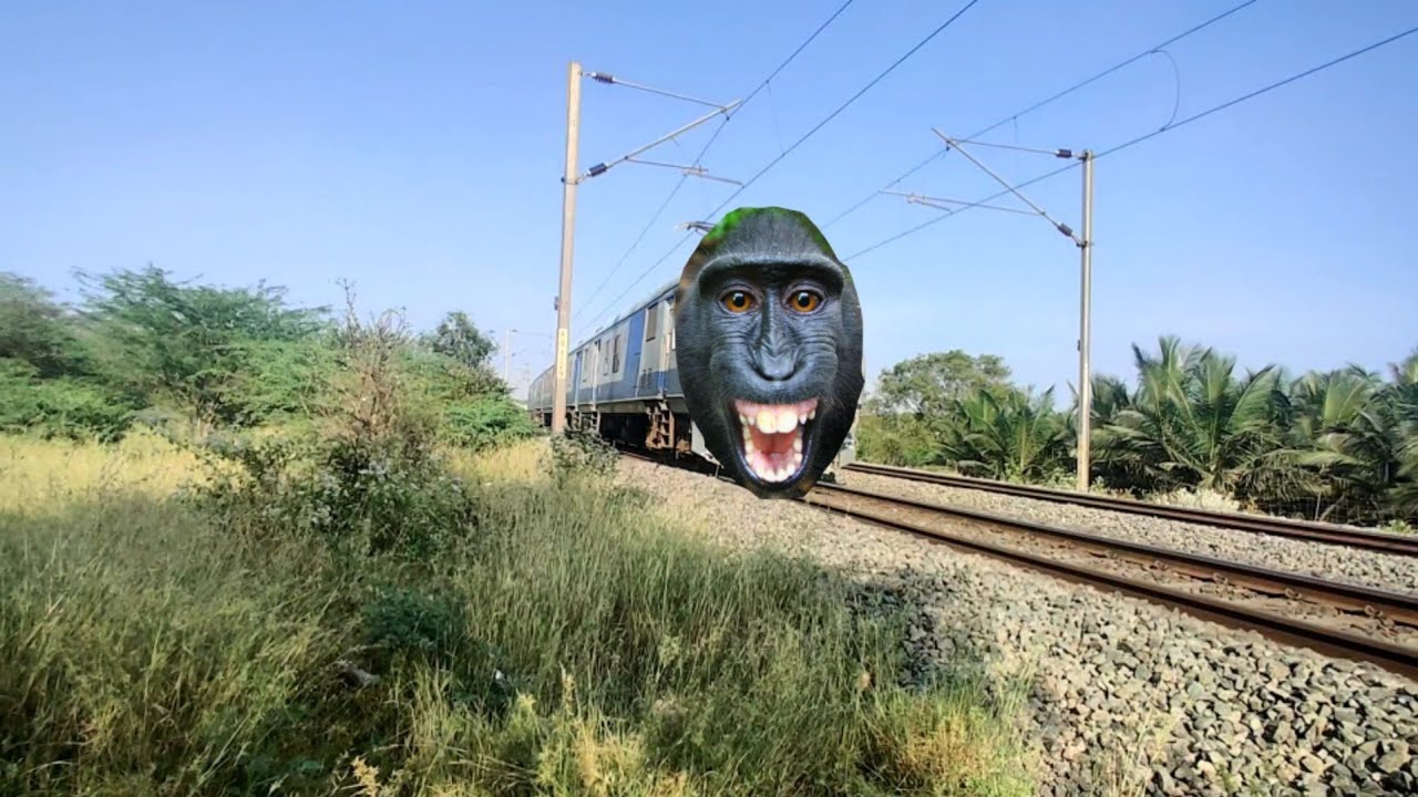 Funny Gorilla Train | Dheeran Kid | Funny Train Videos | @Gondezz | 78 |