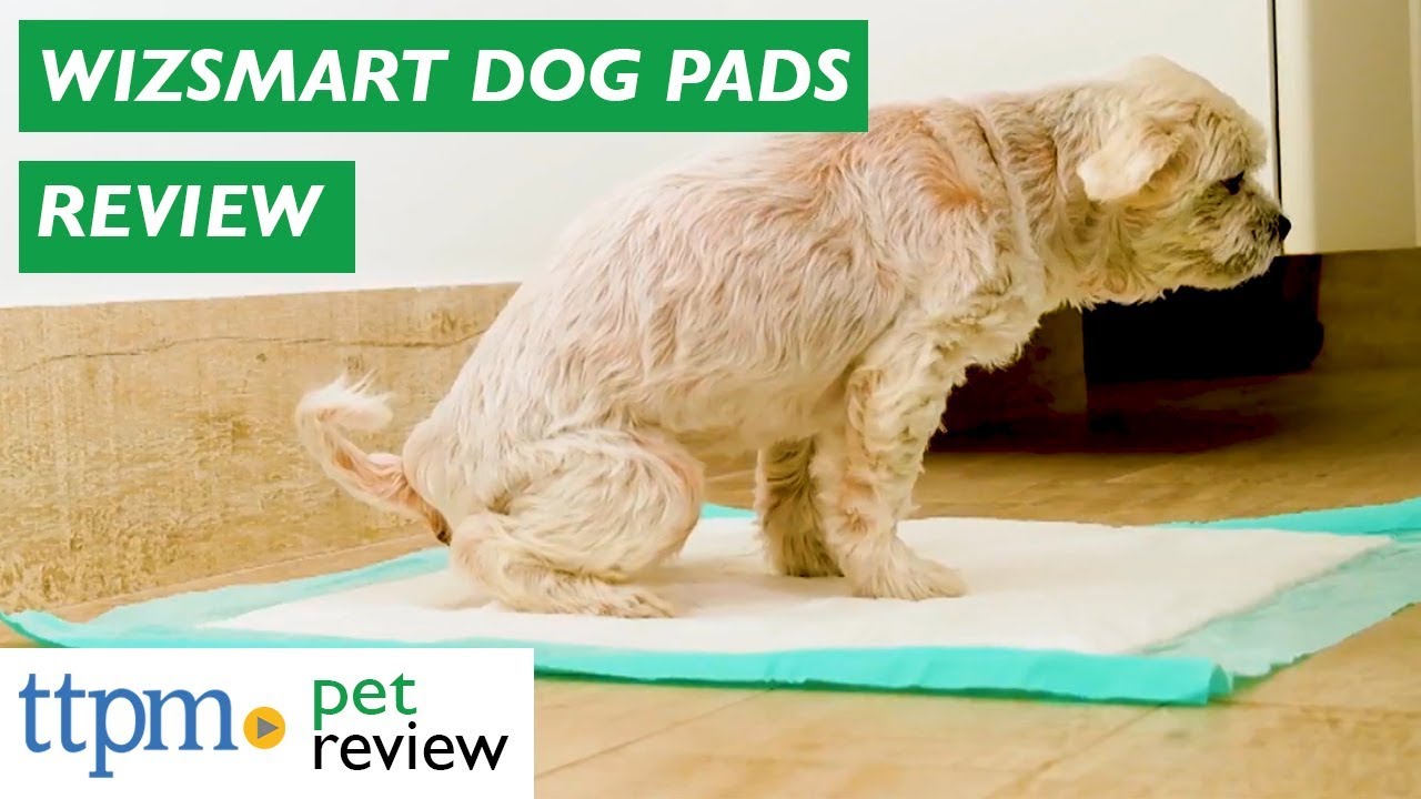 wizsmart puppy pads