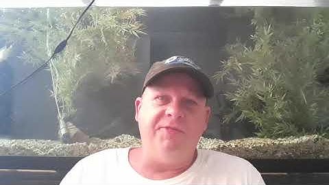 Theta Guardian Node QOC great choice to limit. NA to issues ouflined