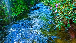 Calm River Water and Light Piano Music to Improve Focus, Aid Sleep and Relax Your Entire Body