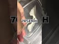 エイの骨格標本の作り方#いのししの人