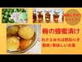 [梅の蜂蜜漬け]美味しすぎる魔法のお薬[簡単♪レシピ]