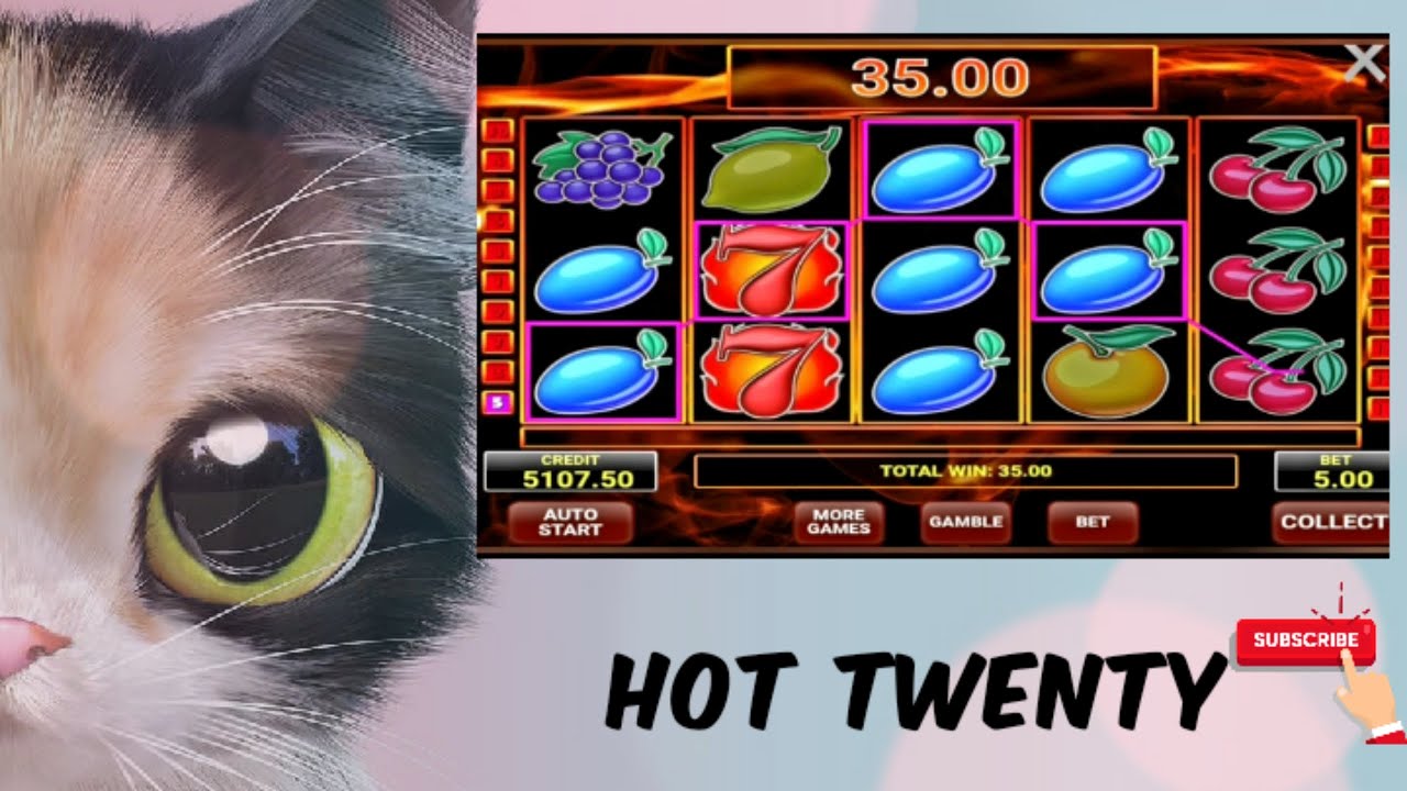 fun mania slot