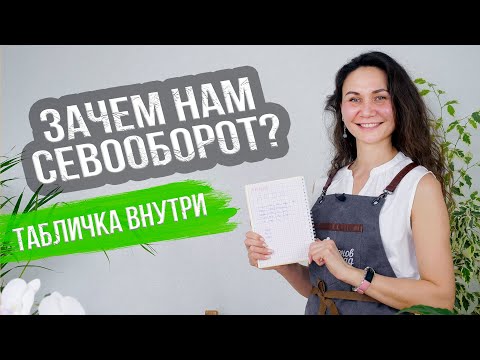 Что после чего сажать? + Таблица севооборота