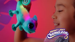 Little Live Pets | Bright Light Chameleon TVC 15 screenshot 2