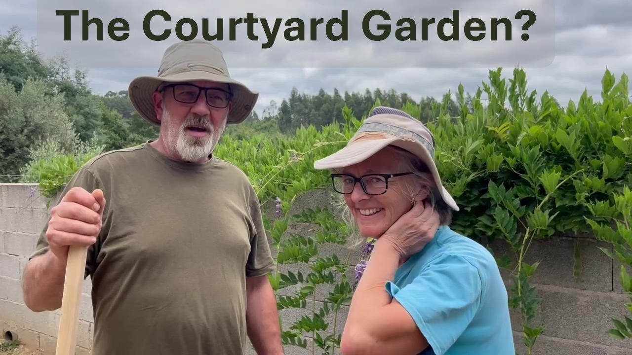 #1 Transforming the Courtyard Garden - Plans and Landscaping Begins