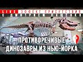 Противоречивые динозавры: Музей естественной истории (Нью-Йорк). #Эффект присутствия с Д. Пащенко