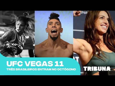 UFC Vegas 11: Três brasileiros lutam neste sábado (17)