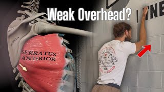 Why Your Overhead Stability Is Weak (Train Your Serratus Like This)