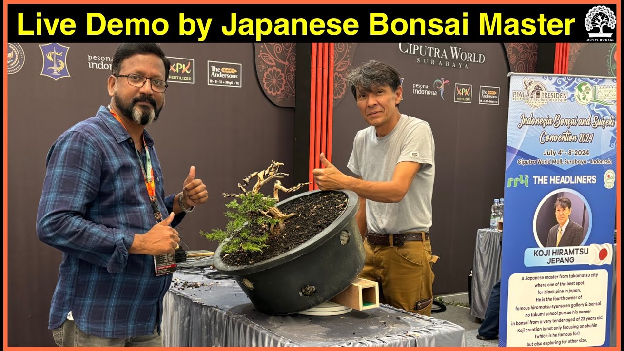 🇯🇵 Japan Bonsai Master Koji Hiramatsu Live Demonstration || Nursery Juniper Tree to Masterpiece
