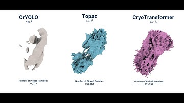 CryoTransformer: Identifying and Extracting Protein Particles from Cryo-EM Micrographs