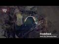 Soul S Cry Predefined Official Music Video 