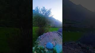 Views #tags #video ###