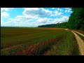 Прогулки в поле. Природа Украины Relaxing video Релакс, walk in nature